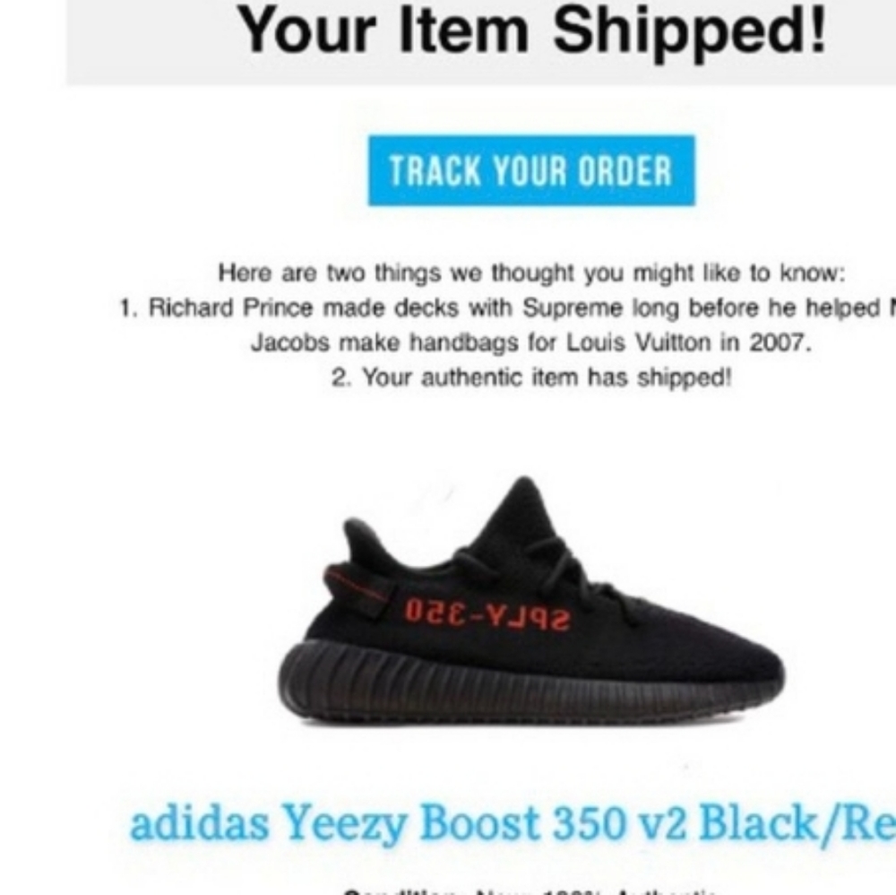 Yezzys 350 v2